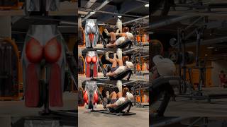 Mouvement Presse  Cuisses  glutes quad presse cuisse fesse musculation