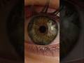 faqat Allohga Ishoning #shortsvideo #хикматли #love