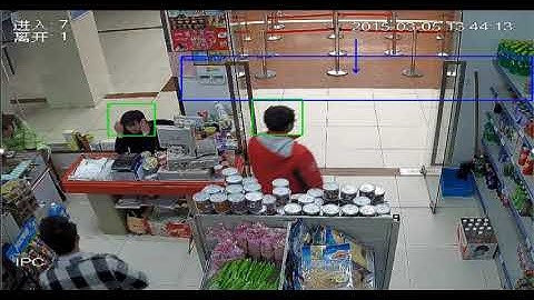 Dahua People Counting Example