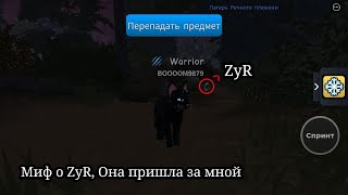 :   ZyR666    WARRIOR CATS!    ZyR//      ? 