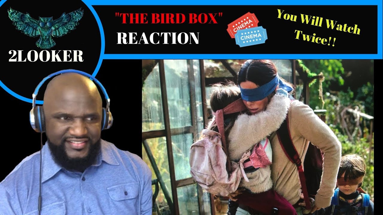 The Bird Box - Reaction