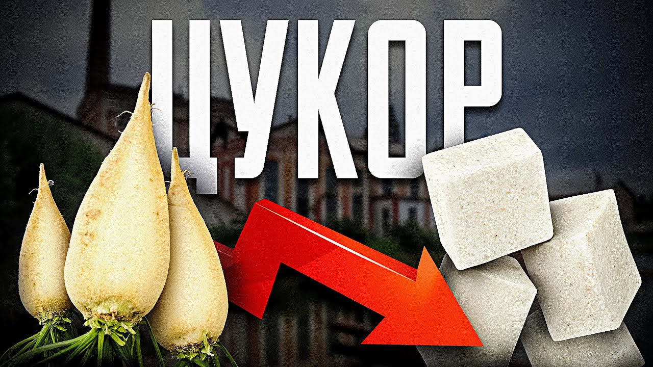 Цукрова імперія України: від лідера світу до краху галузі