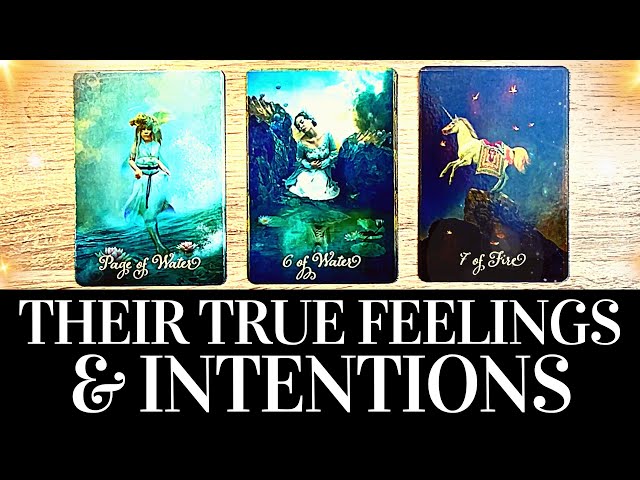 PICK A CARD💓😍 Their TRUE CURRENT FEELINGS u0026 INTENTIONS Towards YOU! 😍💓 Psychic Love Tarot Reading class=