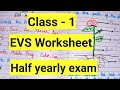 Class 1 EVS Half Yearly Exam question paper ||EVS Worksheet for Class 1||Class 1 EVS Worksheet