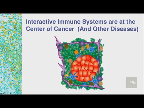 ⁣Understanding and Treating Cancer and Other Diseases Through the Immune System | 2019