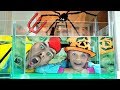 Sink or Float | Experimento Cool Science para niños | Halloween story con Mi Mi Kids