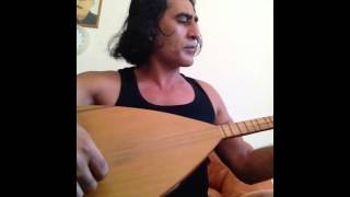 Hozan roni alaca