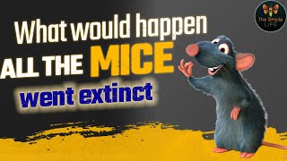 What If All The Rats Disappeared Extinct? | World Without RATS | What if Mice went extinct?