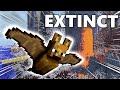 Why 2b2t&#39;s Bats Are Going Extinct