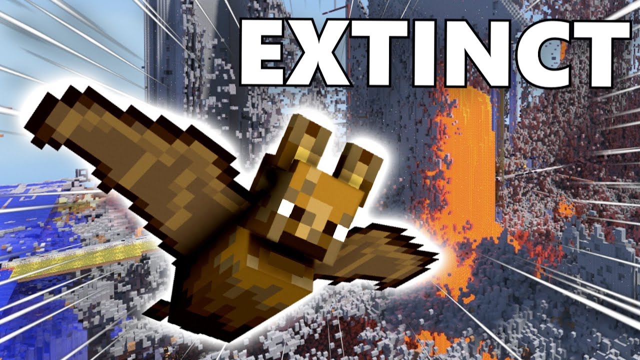 Why 2b2t's Bats Are Going Extinct