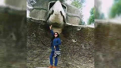 Corazn Herido      Hilda Arellano *tema propio*