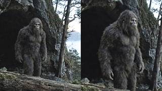 I Am the Last of the Bigfoot Bloodline — They Never Left These Mountains; They Built Cities Below