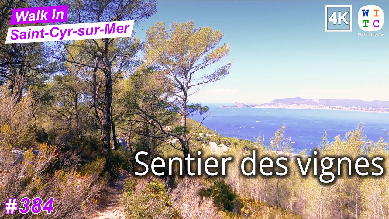 Vine trail (4K) | Walk In Saint-Cyr-sur-Mer