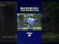 나이 들수록 시간이 빨리 가는 과학적 이유 #생체시계 #shorts #스브스뉴스
