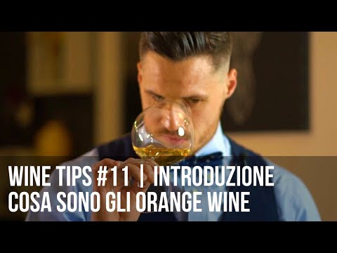 Cosa sono gli ORANGE WINE? Introduzione al mondo dei VINI MACERATI