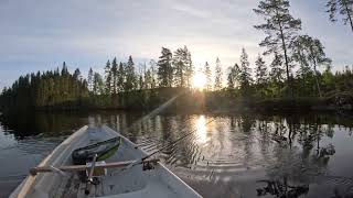 Varhaisaamun kalaretki metsälammelle. A spring morning fishing trip to a wilderness lake.