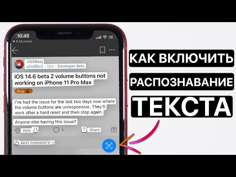 Как включить распознавание текста в iOS 15 на iPhone?