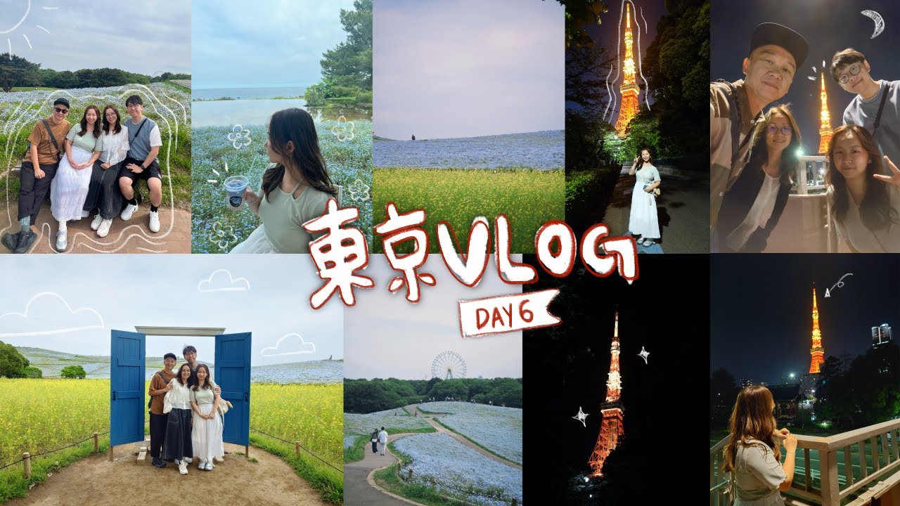 【Ting's Vlog🧸】東京Vlog EP.4 last ep. 去佔地350公頃公園看粉蝶花花海🩵園內打卡cafe☕️意外發現影東京鐵塔🗼的地方🫣