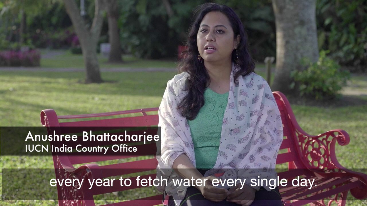 watershed Voices on Forests with Anushree Bhattacharjee