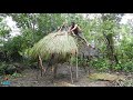 Primitive Survival Forest | Build Grass Thatch, Round Hut