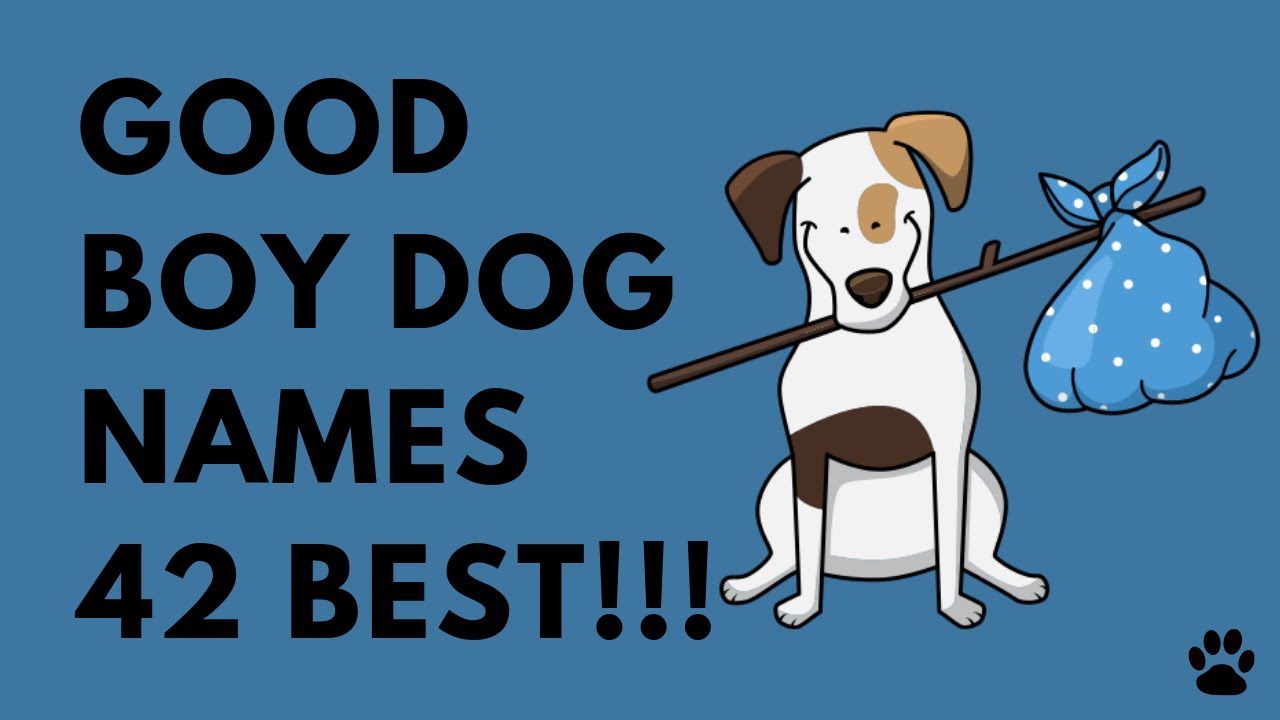 Good Boy Dog Names - 42 AMAZING IDEAS!!! | Names - YouTube