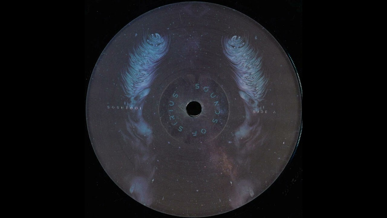 Guy From Downstairs - Elephunk In Electribe [SOSNZ001]