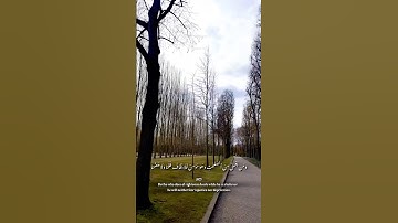 قراءة خاشعة للقارئ المنشاوي..سورة طه.. #قران_كريم #quran #اكسبلور #المنشاوي