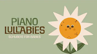 Baby Sleep Music 🌱 Schubert Lullabies for Babies 🌱 Calming Classical Piano Songs for Newborns