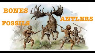 How to: Preserve Bones, Antlers, Fossils, etc. (The Ancient Elk Antler)