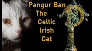 Pangur Ban - Celtic Irish Cat