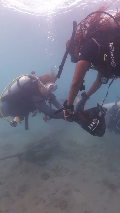 PADI Dive Against Debris #ocean #cleaning 🤿⚓ #scuba #underwater #diving #shorts #thailand #ecology
