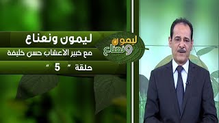 برنامج ليمون ونعناع | الحلقة 5 مع خبير الاعشاب حسن خليفة