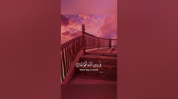 سورة النصر بصوت جميل جدا الشيخ سعد الغامدي حالات واتس اب دينية قصيرة مؤثرة قرآن كريم تلاوة خاشعة