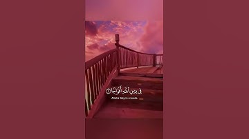 سورة النصر بصوت جميل جدا الشيخ سعد الغامدي حالات واتس اب دينية قصيرة مؤثرة قرآن كريم تلاوة خاشعة