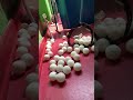 Table Tennis Relax