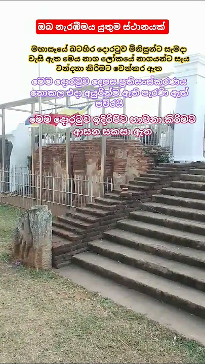 මහා සෑයේ වැසි ඇති දොරටුවක් 😲🤔🙏What is the closed gate at Ruwanweli Seya?😲🤔🙏#ruwanweliseya #travel