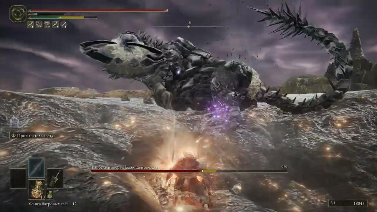 элден ринг зверь падающей звезды. взрослый зверь падающей звезды.
