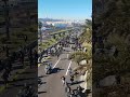 القايد صالح الموكب الجنائزي ل قائد الاركان قايد صالح الله يرحمه