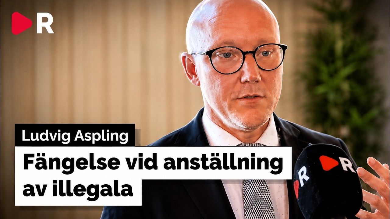 SD är inte färdiga med invandringen: nu ska illegala arbetskraften bort