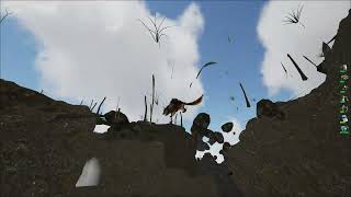 Teamers Ferox PVP 2