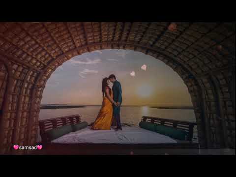 Anbe Anbe Nee En Pillai Song💘Whatsapp Status Tamil Love Song