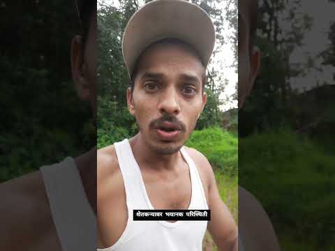 शेतकऱ्यावर भयानक परिस्थिती 😪 #trending #short #reels #viral #comedy #viral #mems