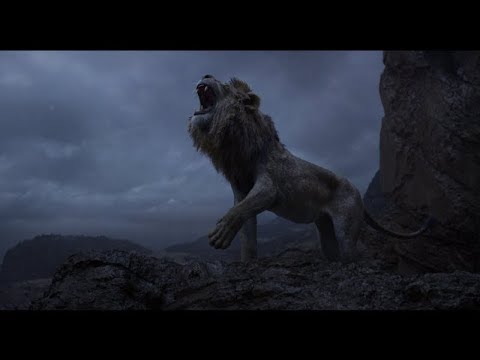 Lion Sound Effects HD