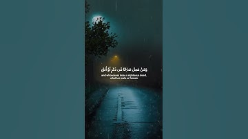 تلاوة تهز القلب للشيخ ياسر الدوسري | #قرآن #تلاوة_خاشعة