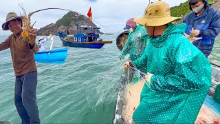 Độc Đáo Nghề Lưới Tôm Hùm Cá Chan Ở Đảo,Nể Phục Người Phụ Nữ Hơn 30 Năm Kéo Lưới Bằng Tay