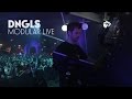 Dngls  mud mood  live astropolis 2016