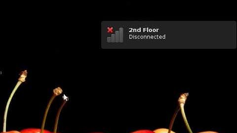 NetworkManager in Ubuntu 9.10