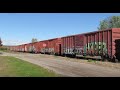 LOOK AT ALL THOSE BOX CARS OF GRAFFITI! | Jason Asselin