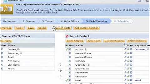 Informatica Cloud Summer 2010 Related Objects