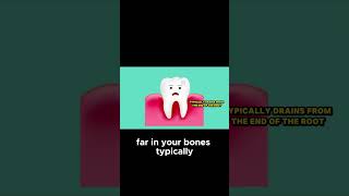 Bump on Your Gum  Here's What It Means!